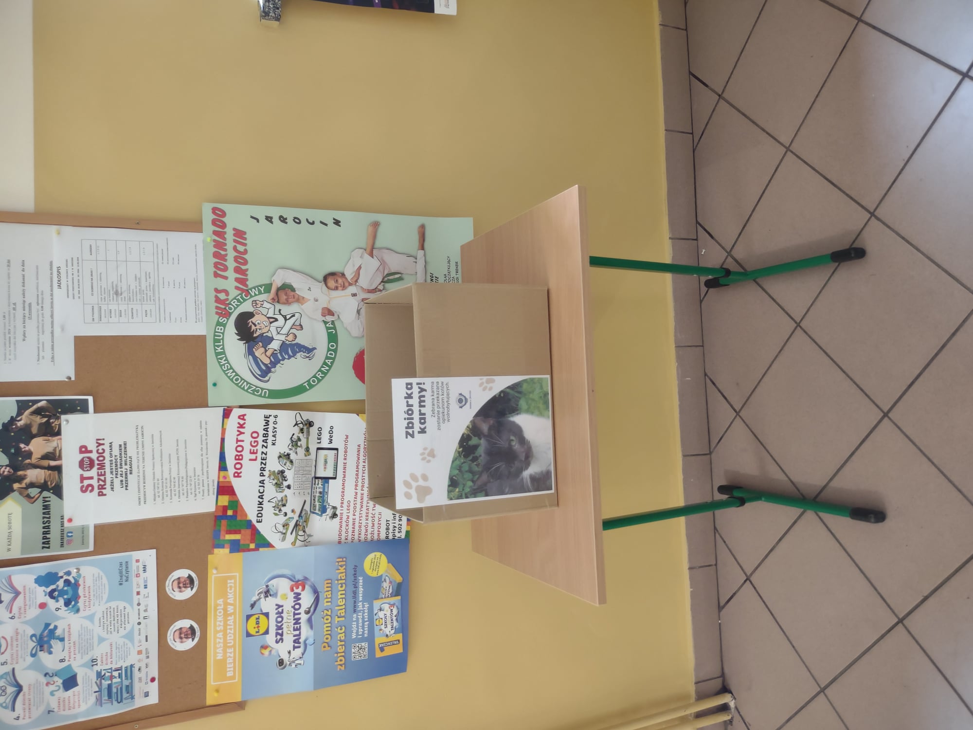 Akcja SU - Zbi�rka karmy dla wolnobytujacych kot�w