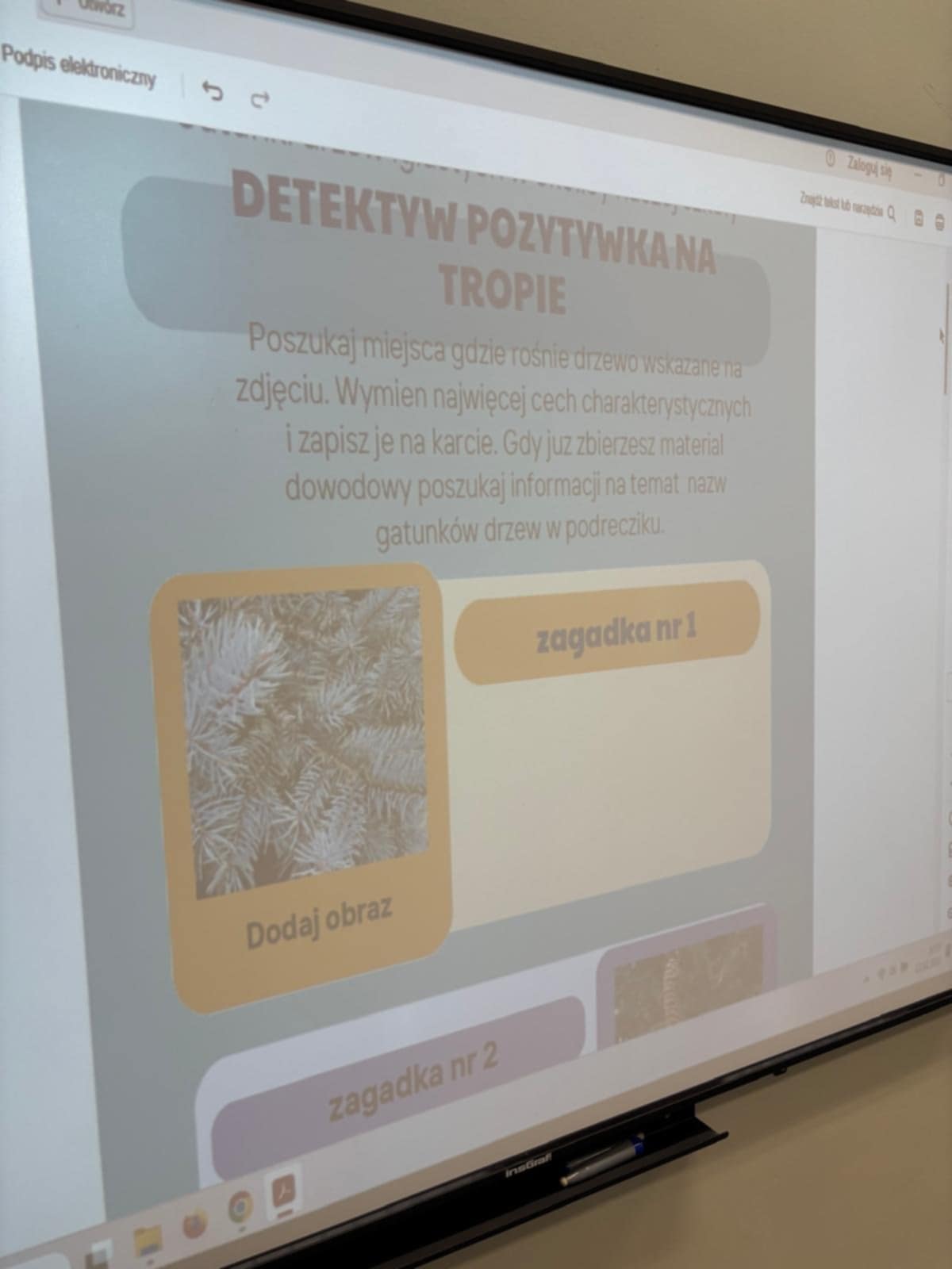 Tw�rcze spotkanie z Detektywem Pozytywk� 2ab