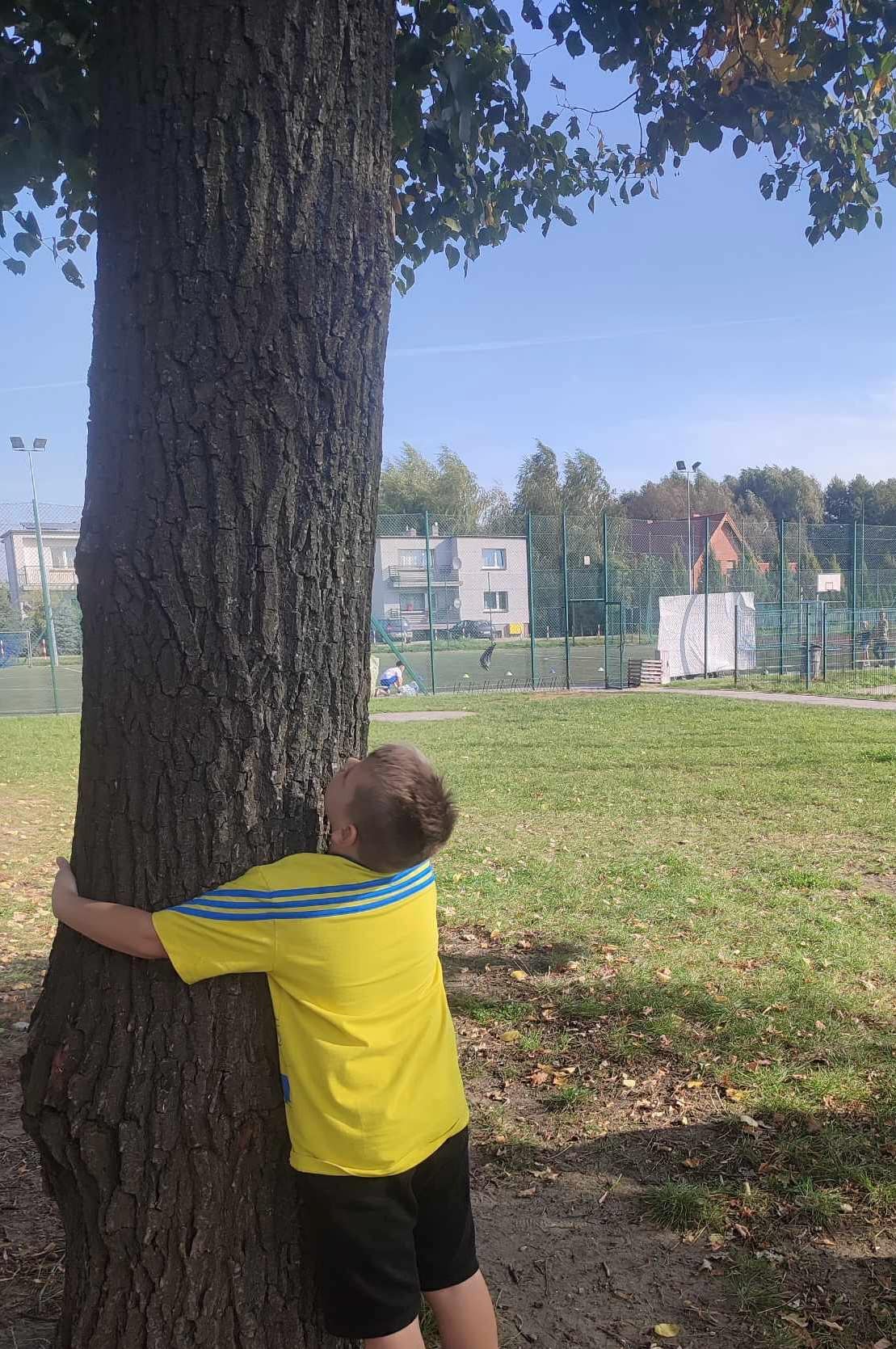 Akcja Przytul si� do drzewa 2024