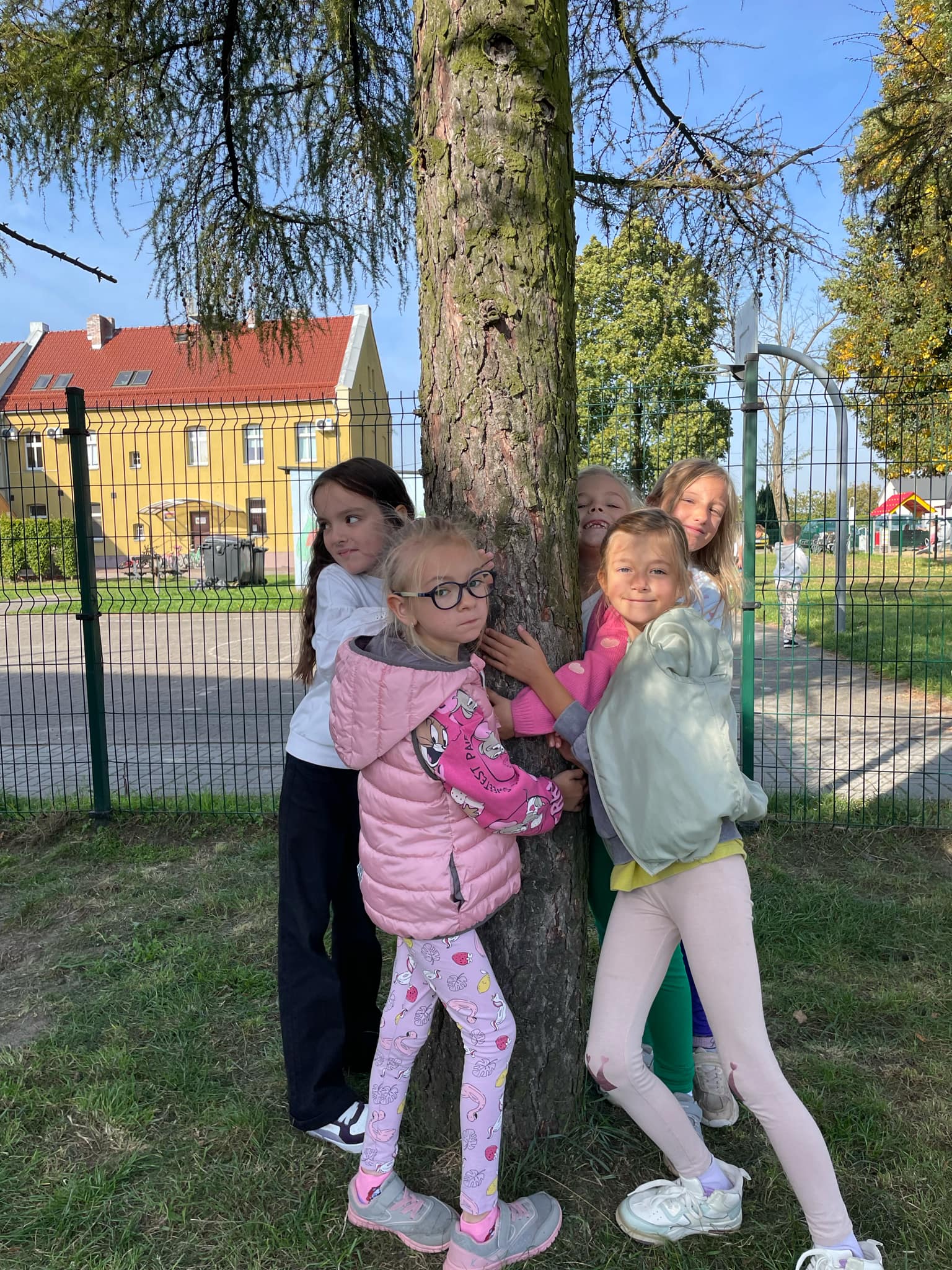 Akcja Przytul si� do drzewa 2024