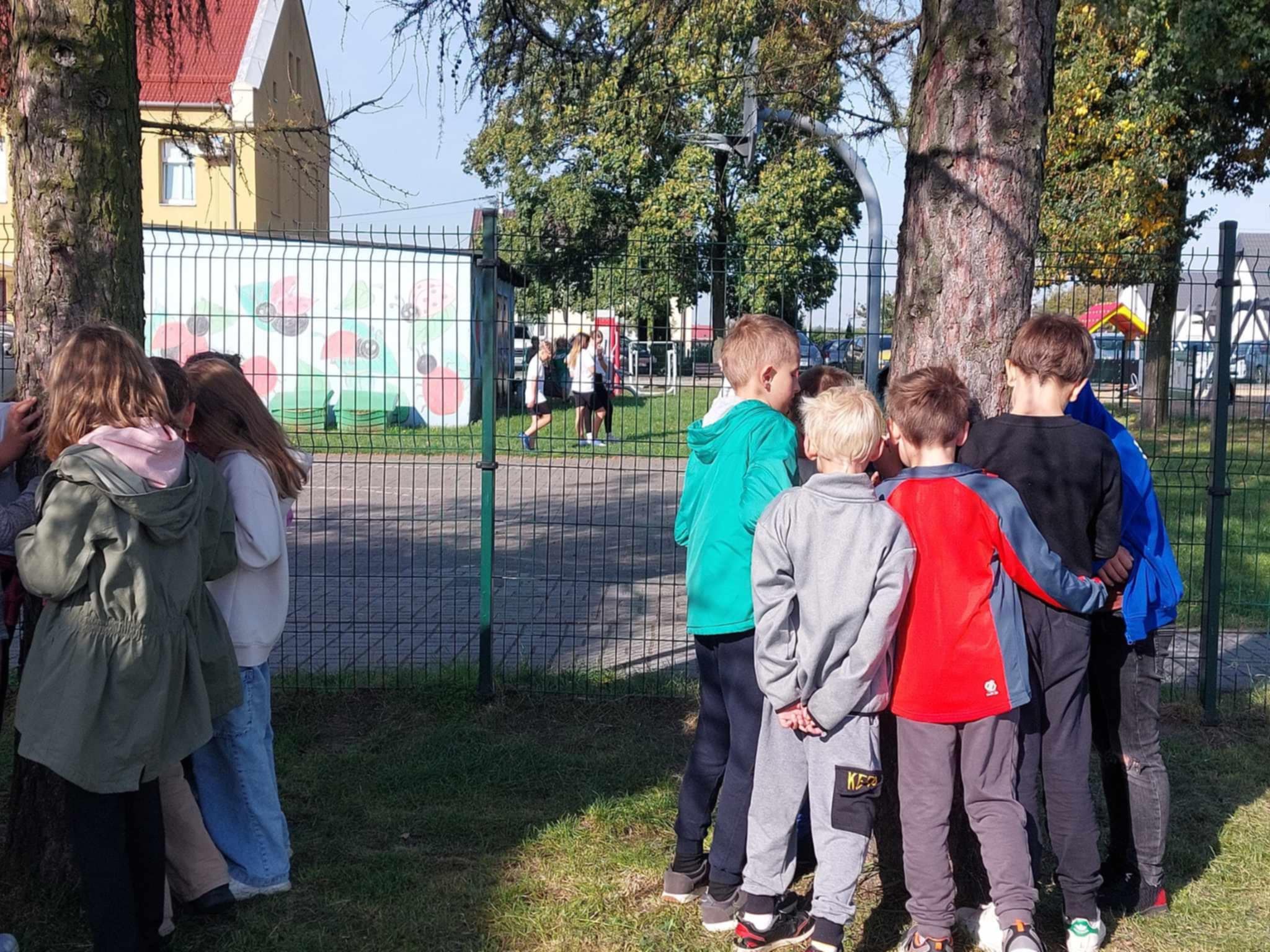 Akcja Przytul si� do drzewa 2024