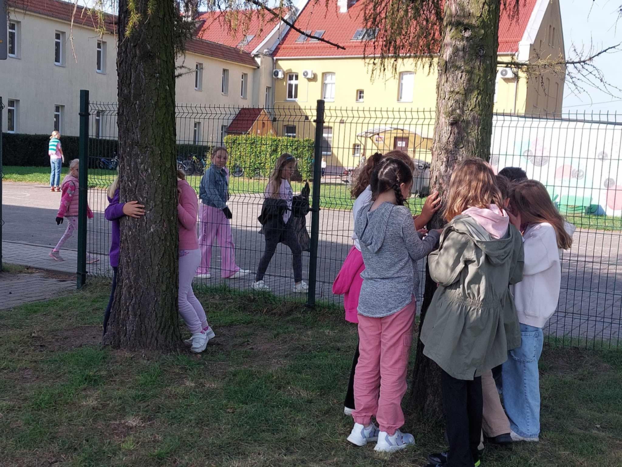 Akcja Przytul si� do drzewa 2024