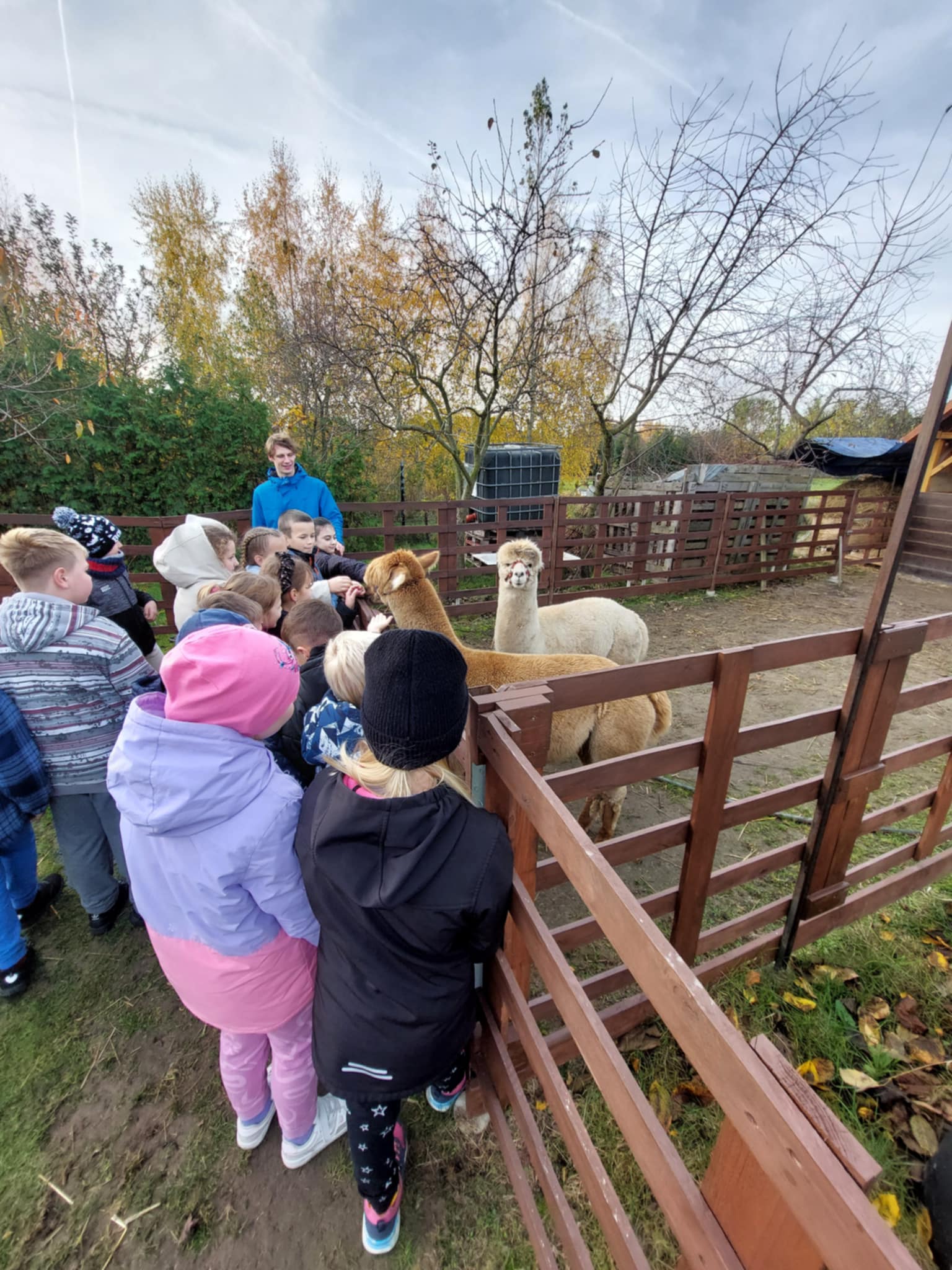 Spotkanie z alpakami uczni�w klasy 3b