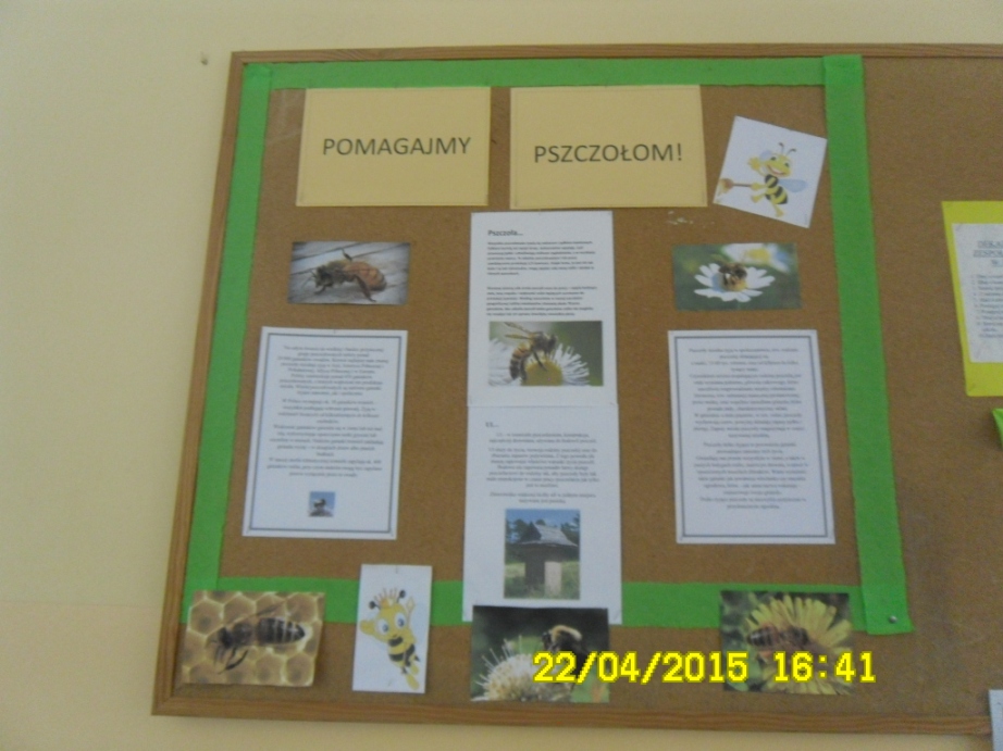 Udzia� w akcji Z Kujawskim pomagamy pszczo�om