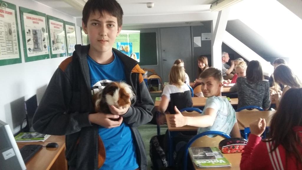 Prezentacje swoich zainteresowa� w j�zyku angielskim uczni�w klasy IIIa gimnazjum