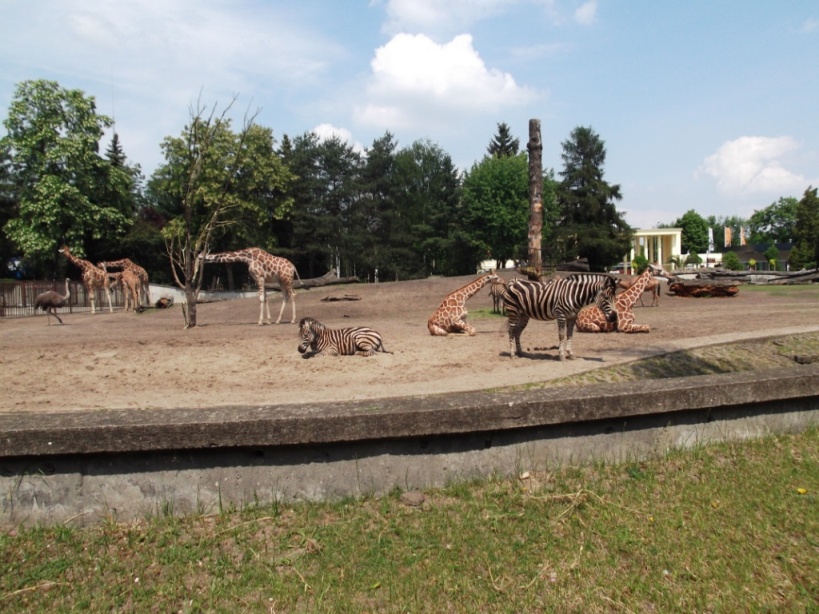 Wycieczka uczni�w klasy Ia i Ib do Wroc�awia