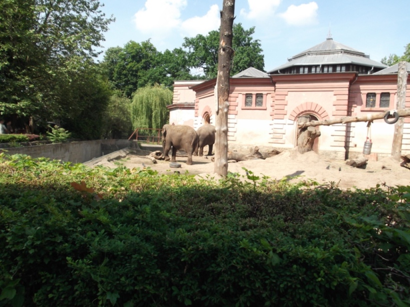 Wycieczka uczni�w klasy Ia i Ib do Wroc�awia