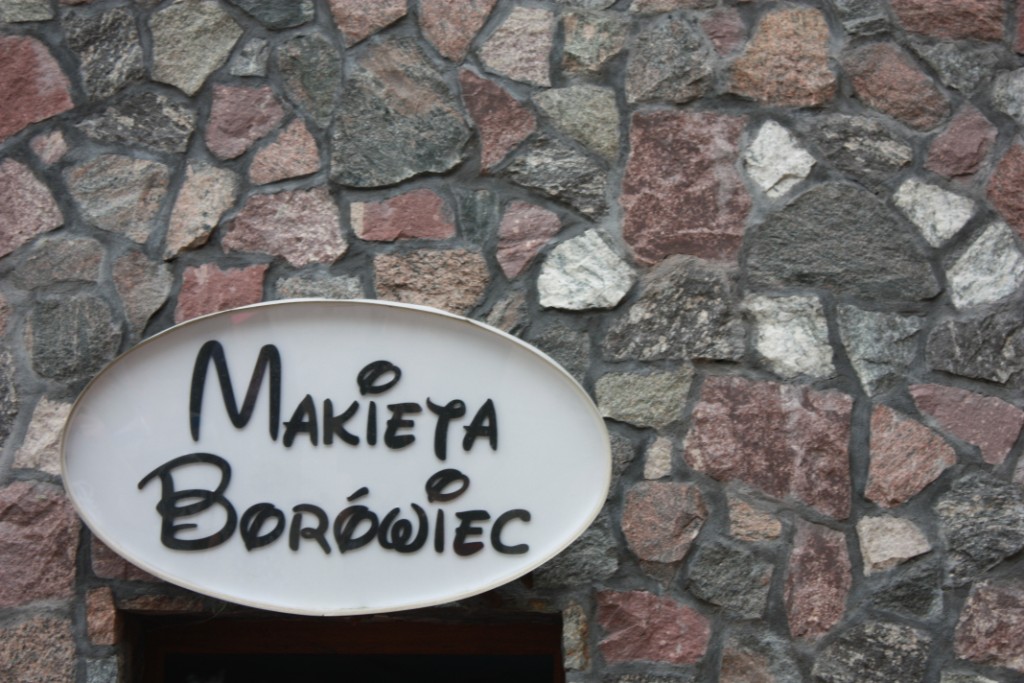 Wycieczka uczni�w klasy II do Bor�wca i K�rnika