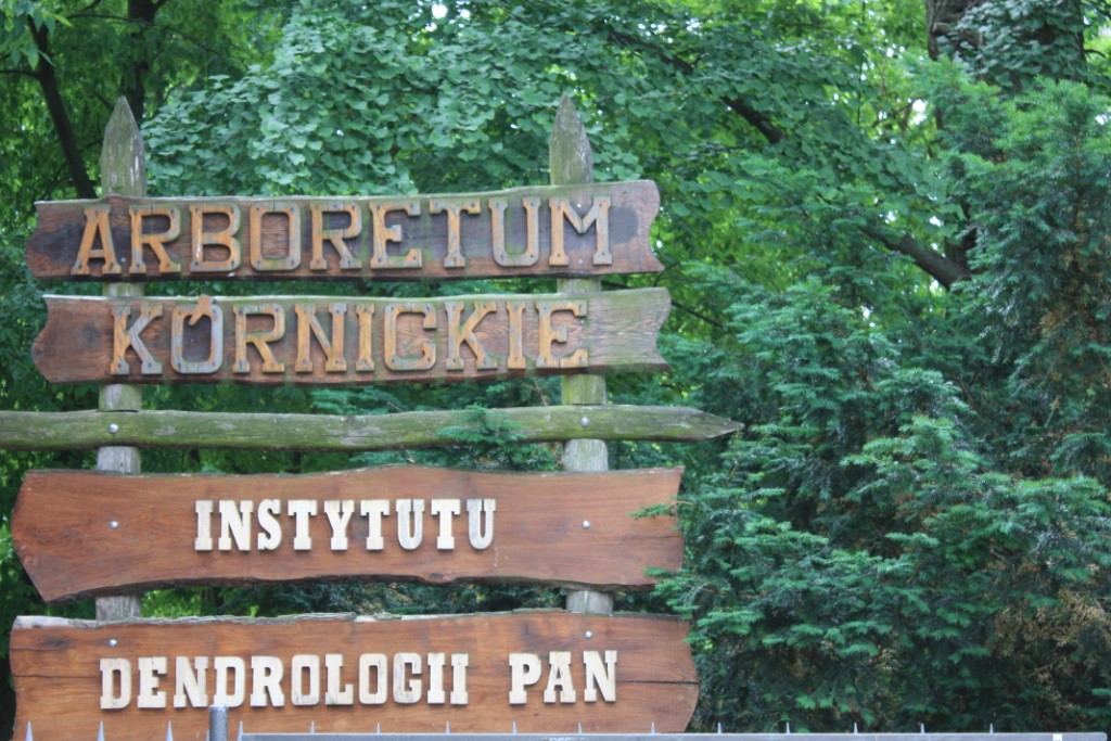 Wycieczka uczni�w klasy II do Bor�wca i K�rnika