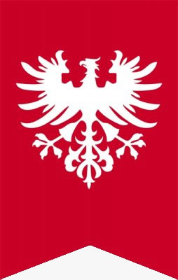 Flaga Powstania Wielkopolskiego