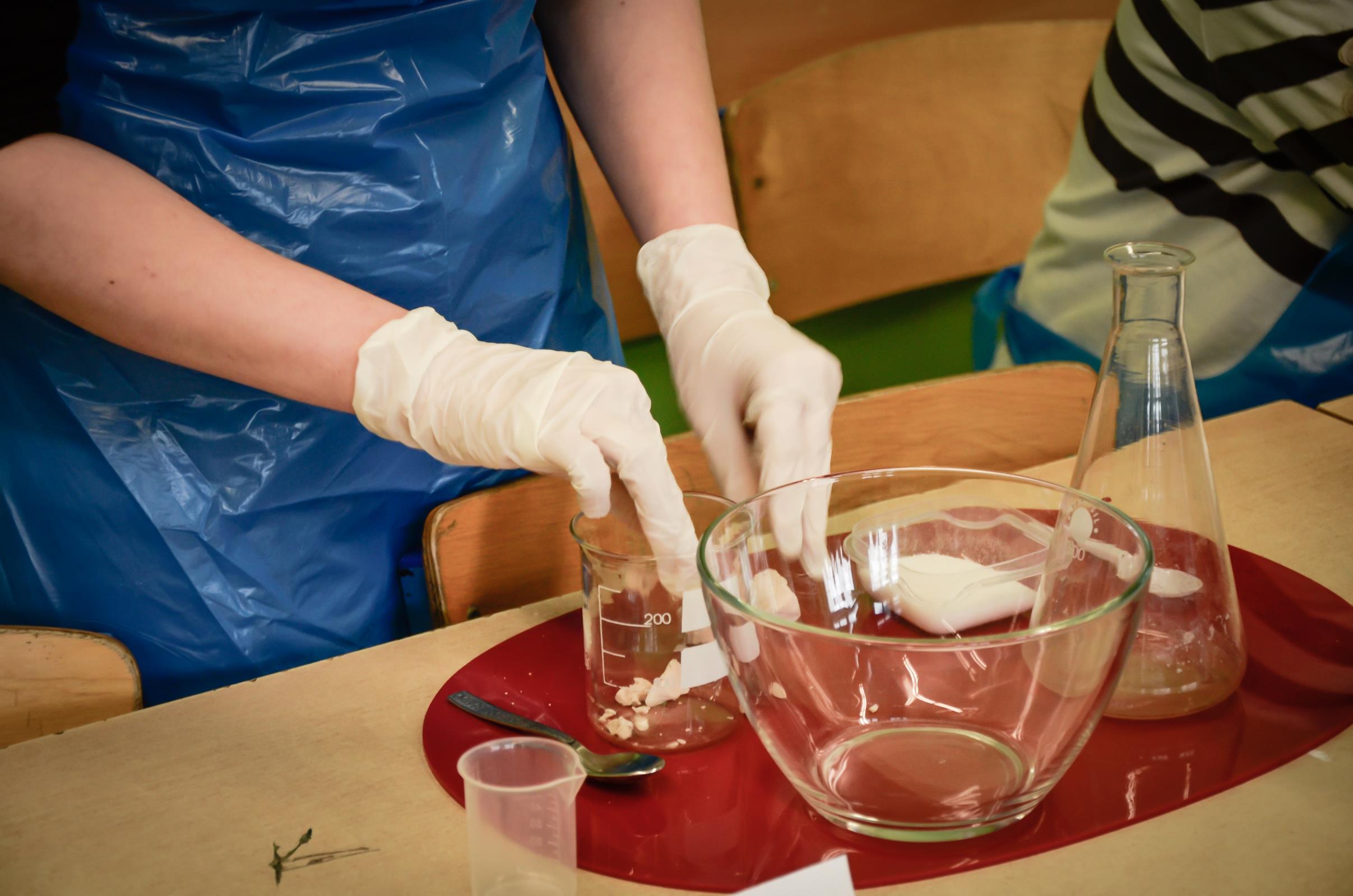 II Mi�dzyszkolny Konkurs Biologiczno - Chemiczny.2017