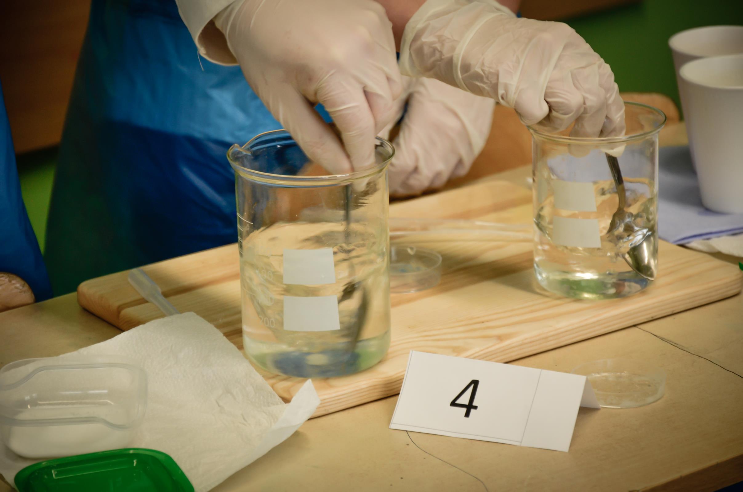 II Mi�dzyszkolny Konkurs Biologiczno - Chemiczny.2017