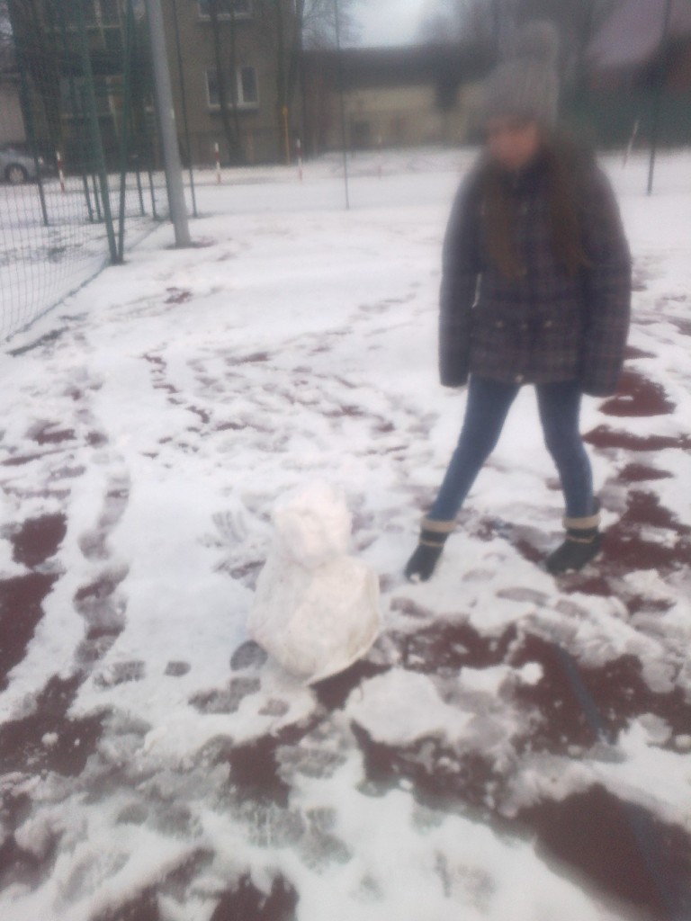 Zaj�cia rekreacyjne wychowania fizycznego na �niegu