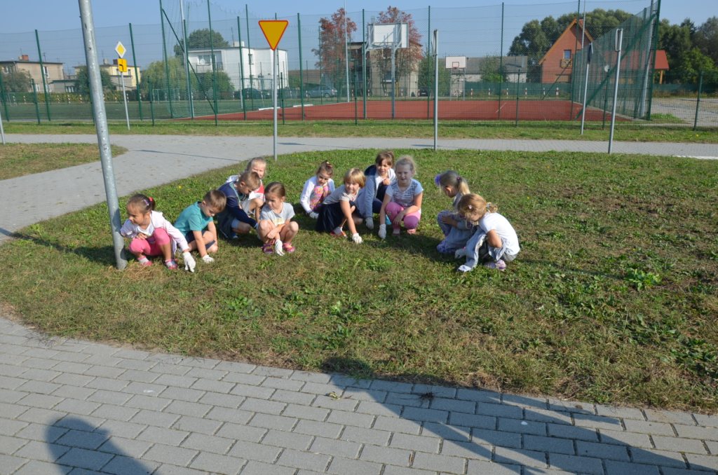 Akcja Sprz�tanie �wiata 2016