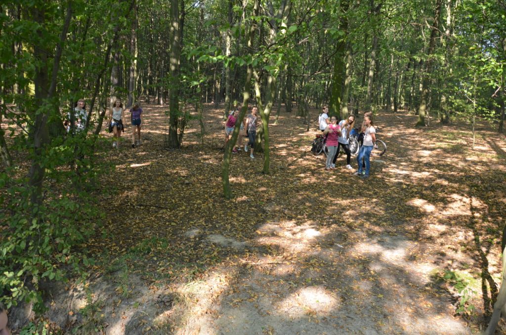 Akcja Sprz�tanie �wiata 2016
