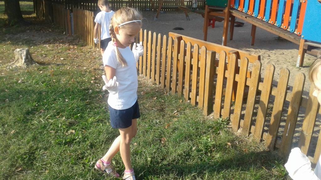 Akcja Sprz�tanie �wiata 2016