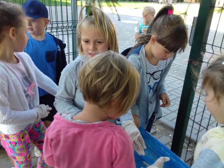 Akcja Sprz�tanie �wiata 2016