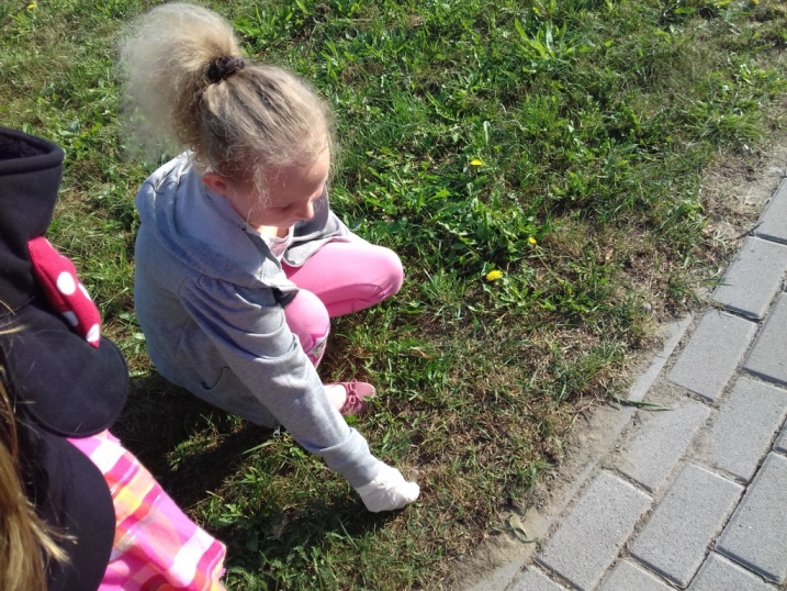 Akcja Sprz�tanie �wiata 2016