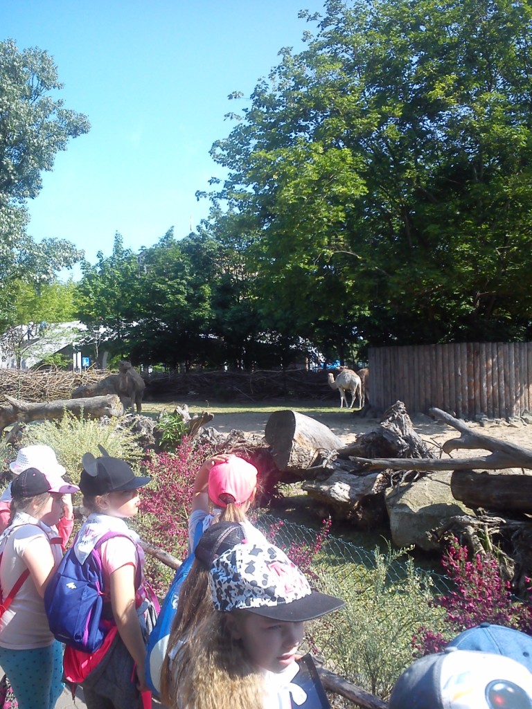 Wycieczka do Wroc�awia uczni�w klas drugich szko�y podstawowe