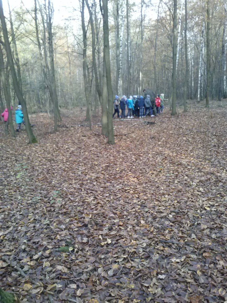 Wycieczka uczni�w klas II szko�y podstawowej do pobliskiego lasu i spotkanie z le�niczym