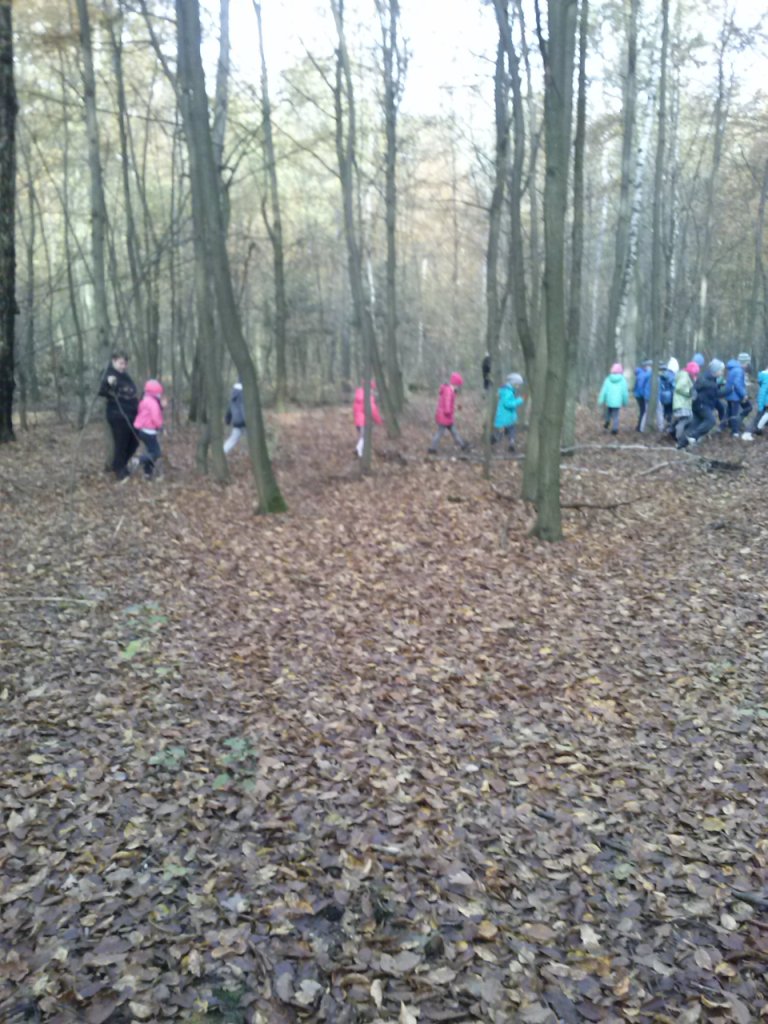 Wycieczka uczni�w klas II szko�y podstawowej do pobliskiego lasu i spotkanie z le�niczym