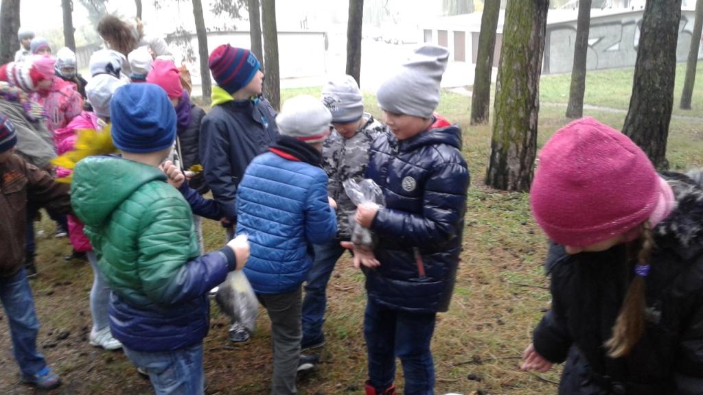 Wycieczka klasy 0 i klasy 1 do Parku Szubianki
